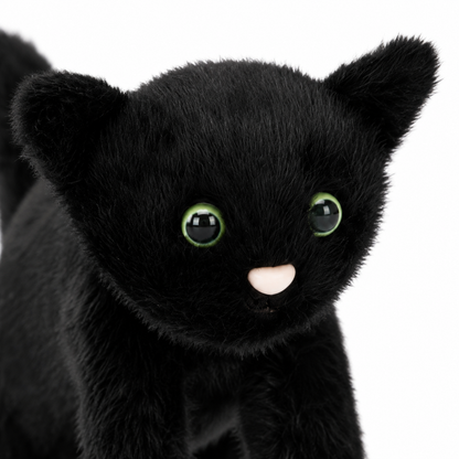 Black Cat Plush Toy